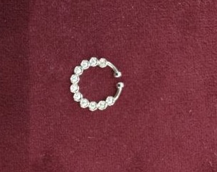 Silver nosepin 1