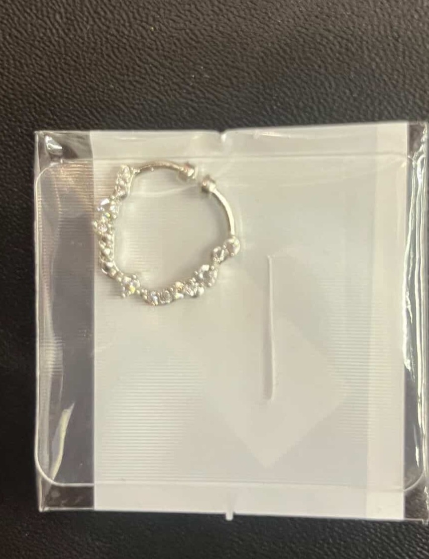 Silver Nosepin 