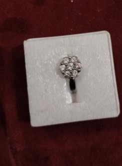 silver nosepin