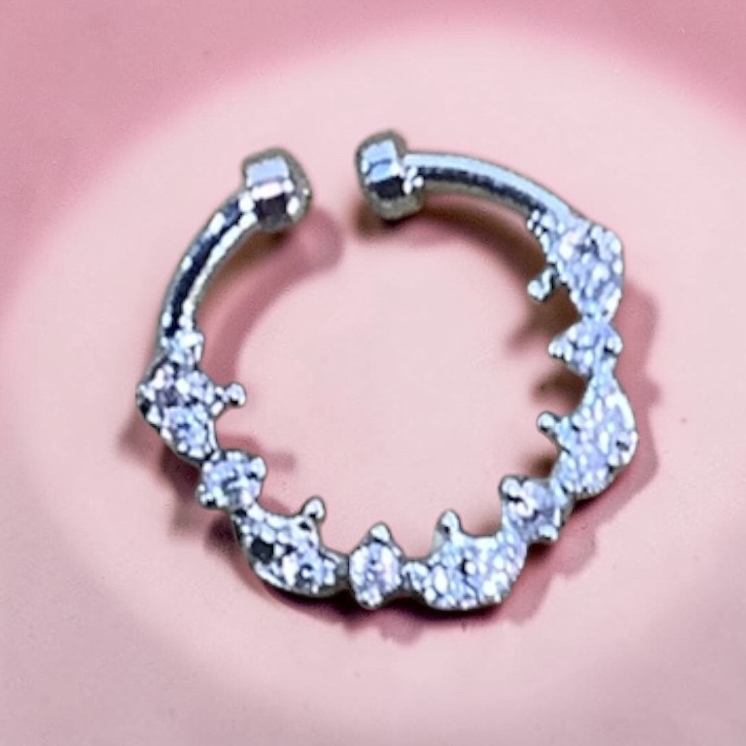 Silver south nosering 