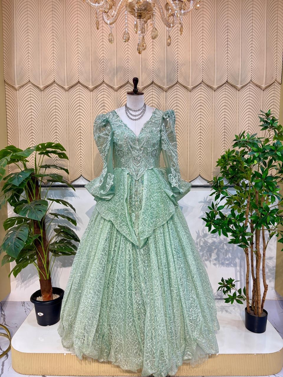 Pista Full Slevess Ball Gown 