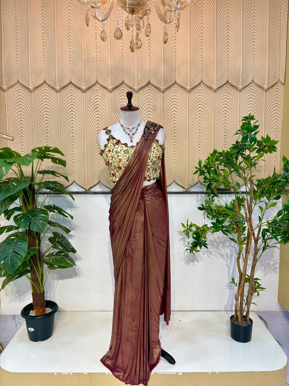 Brown Saree 